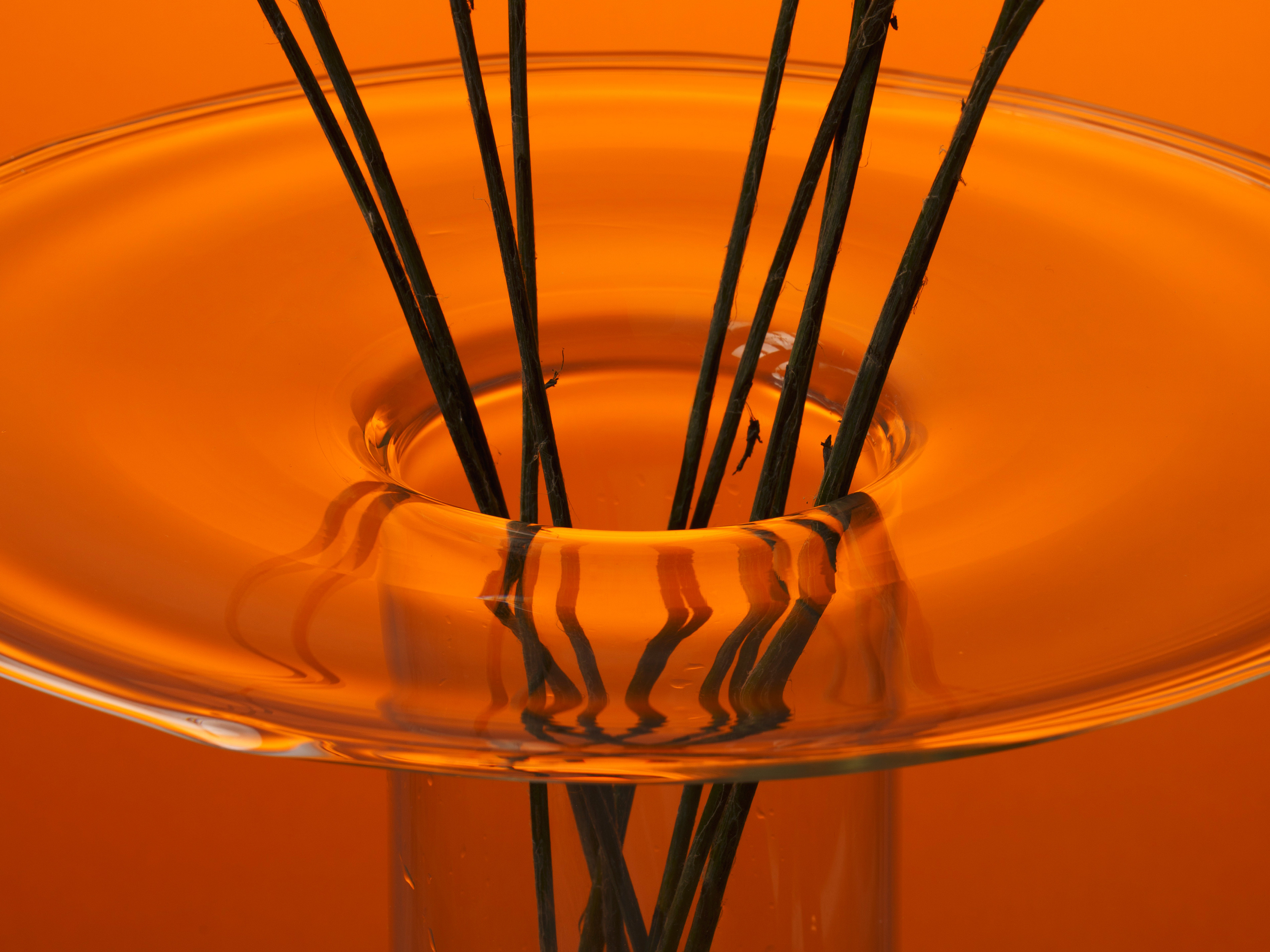 Detail of a glass vase with flowers inside on an orange background