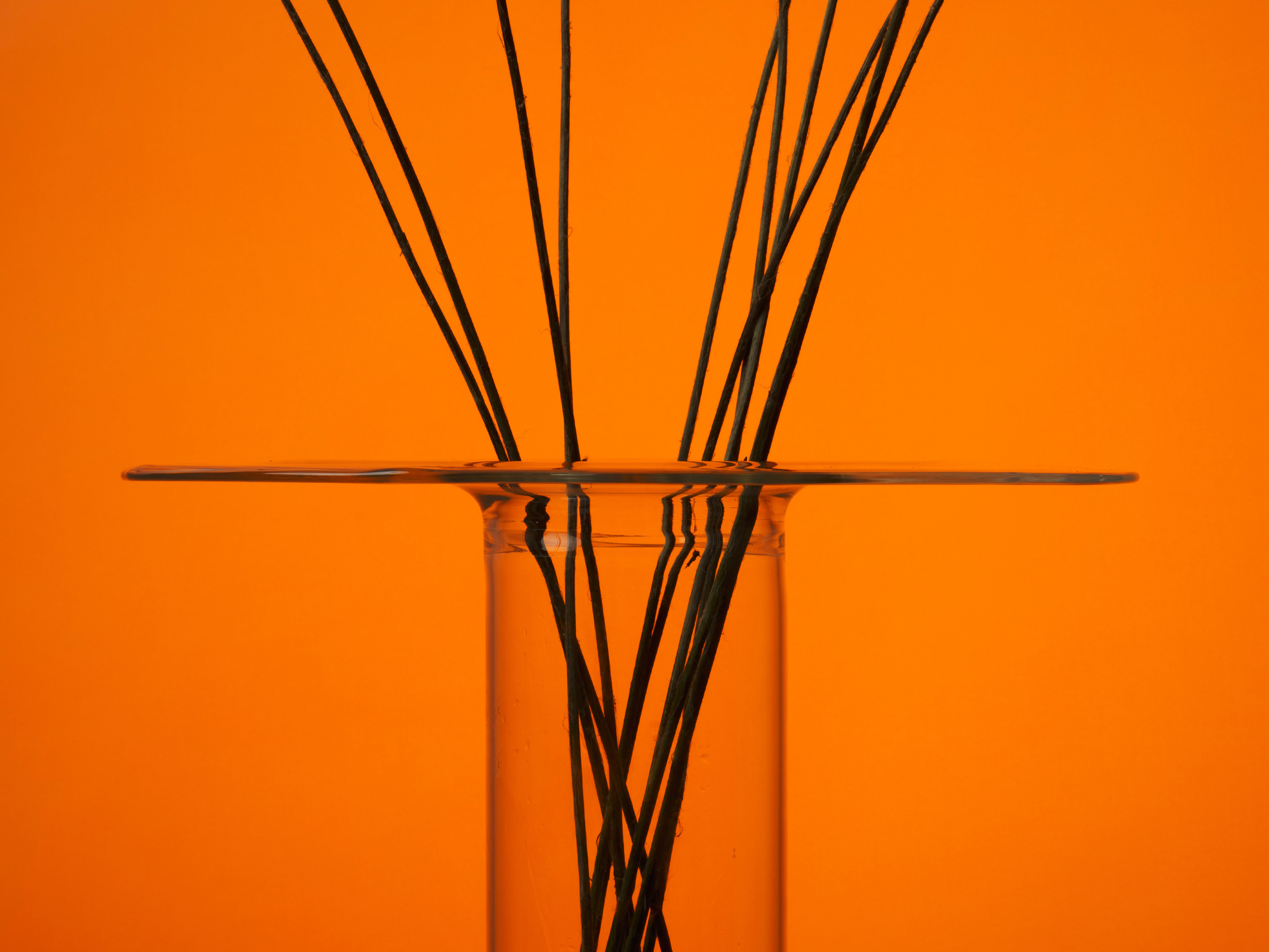 Detail of a glass vase with flowers inside on an orange background