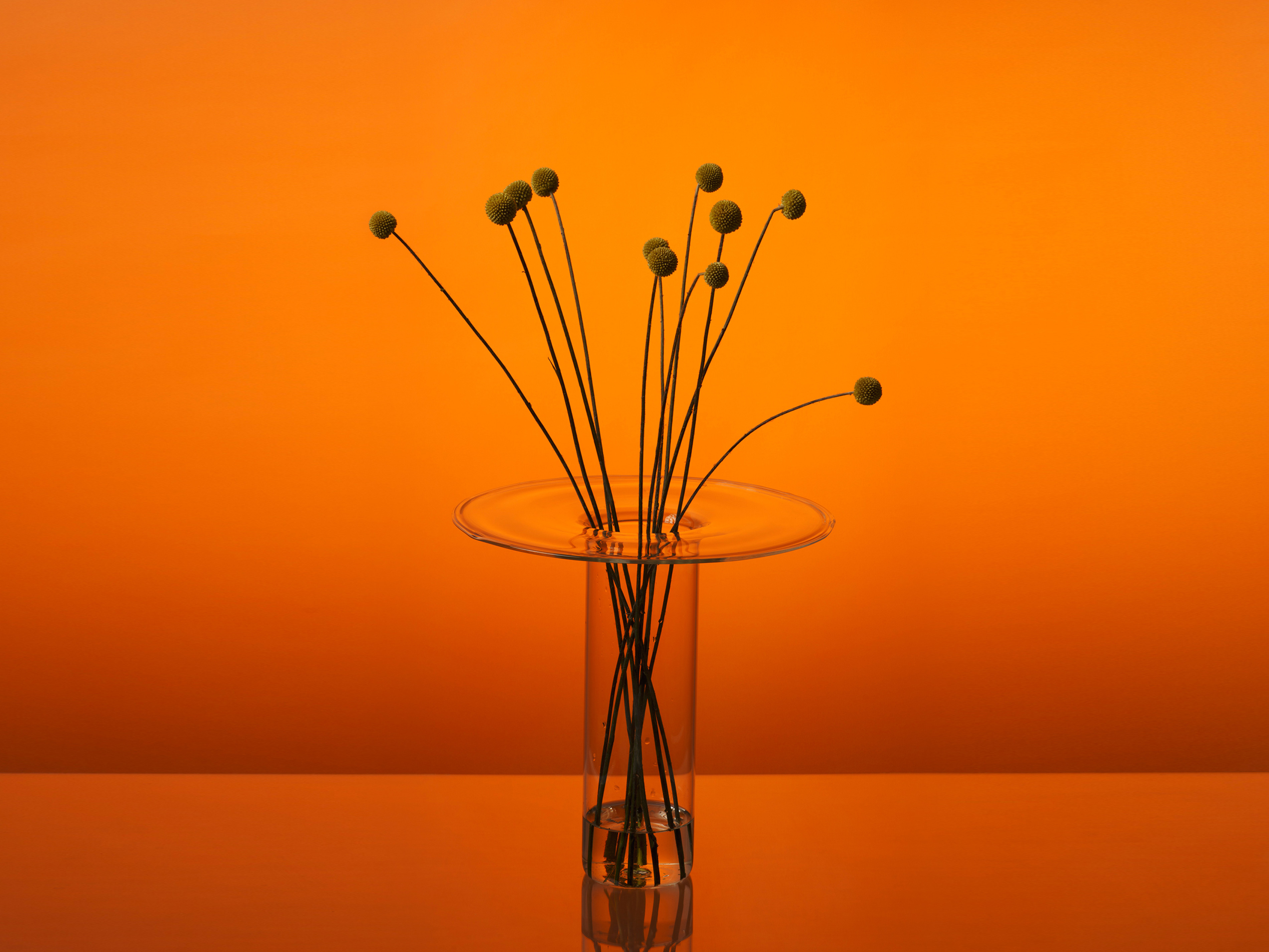 Glass vase with yellow flowers inside on an orange background