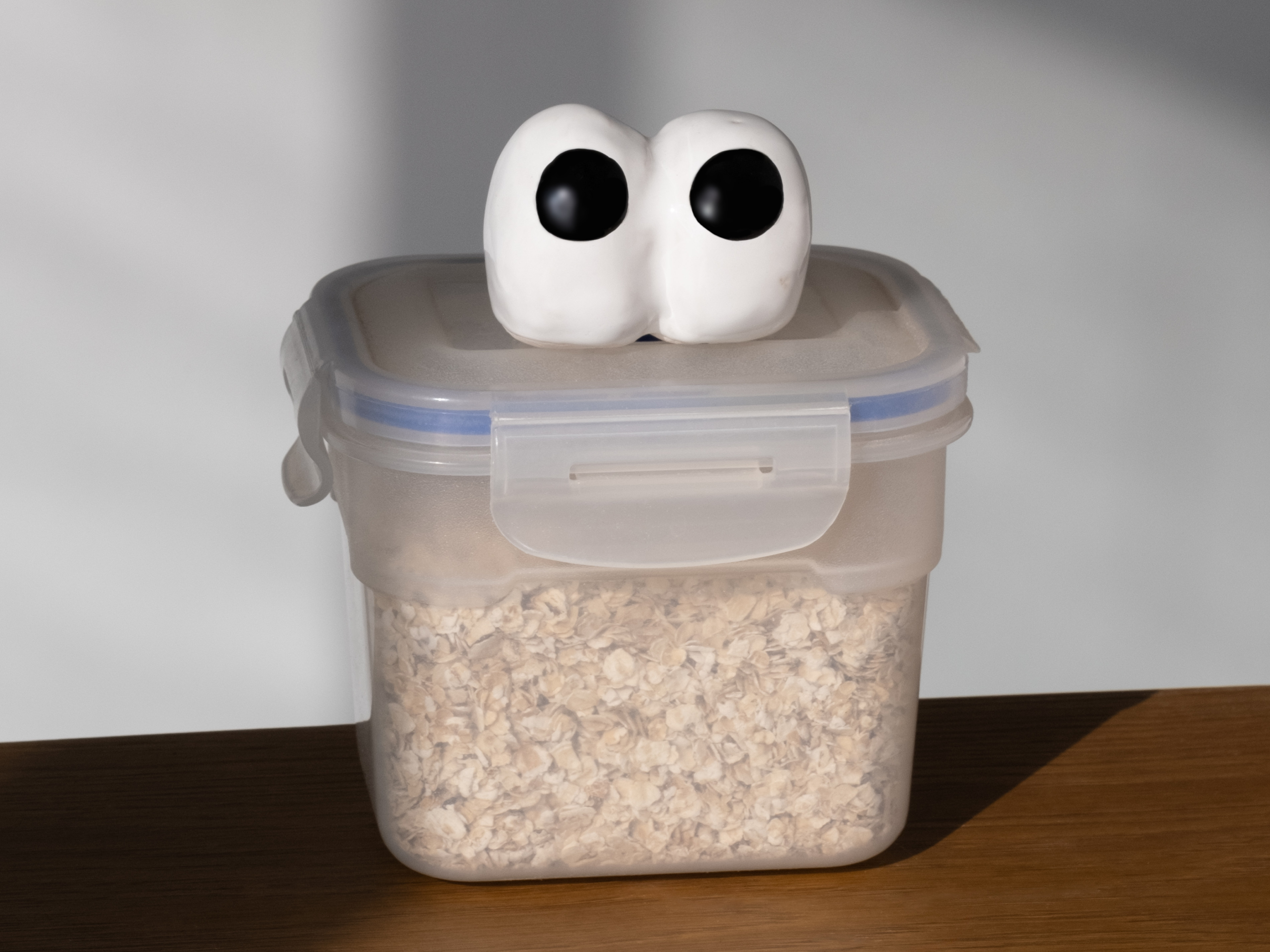 A pair of ceramic eyes standing on top of a transparent plastic container