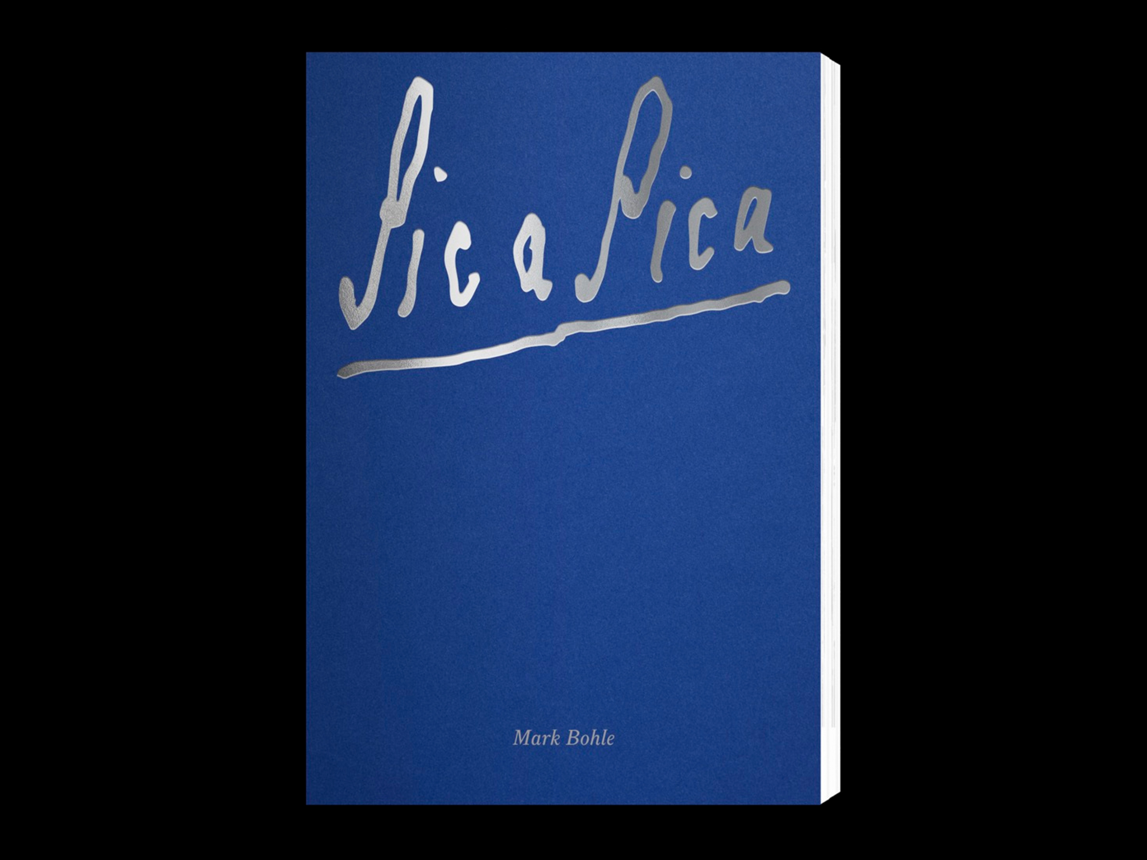 Cover of the book with a hand drawn silver title on blue background
