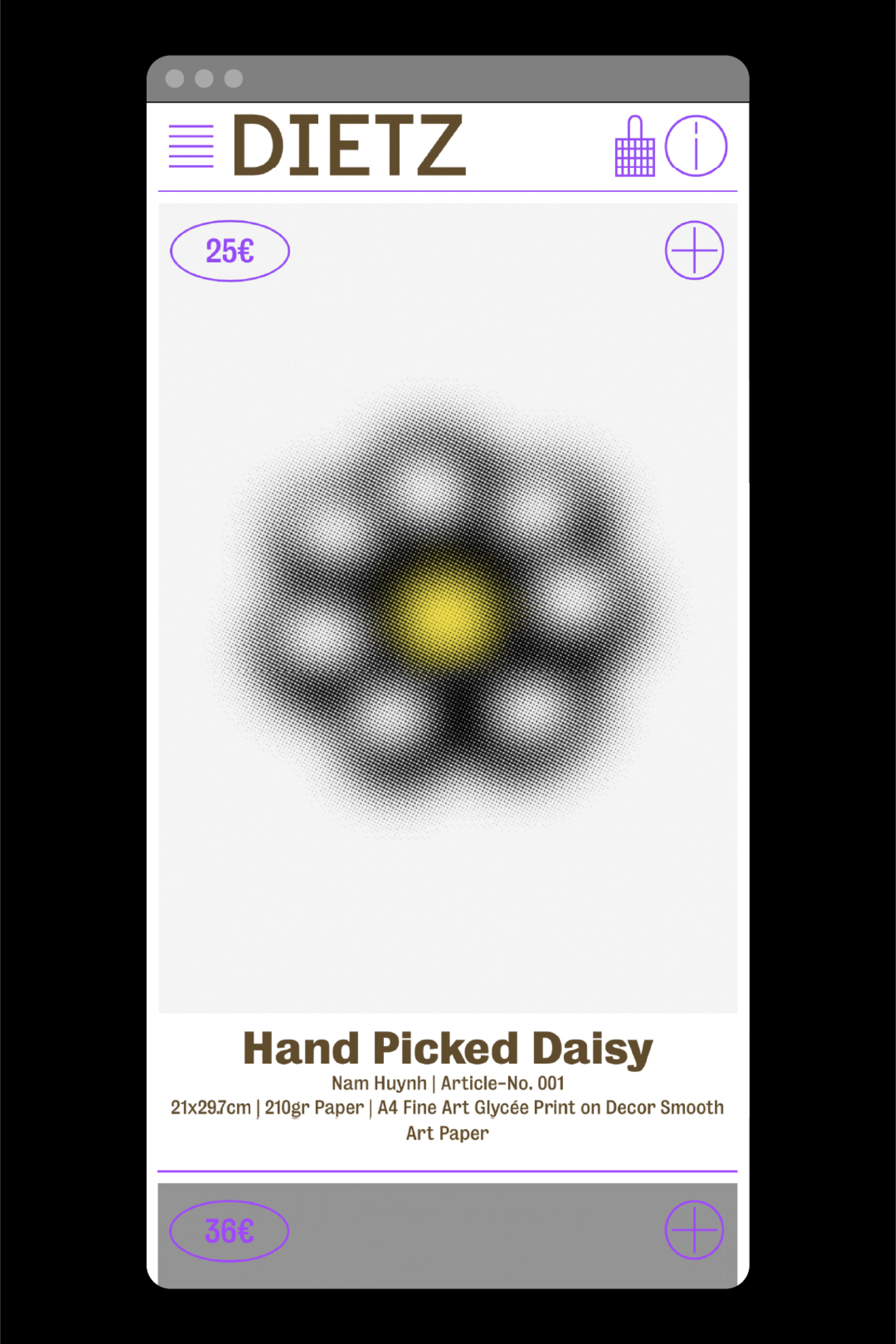 Illustration of a hand picked daisy.